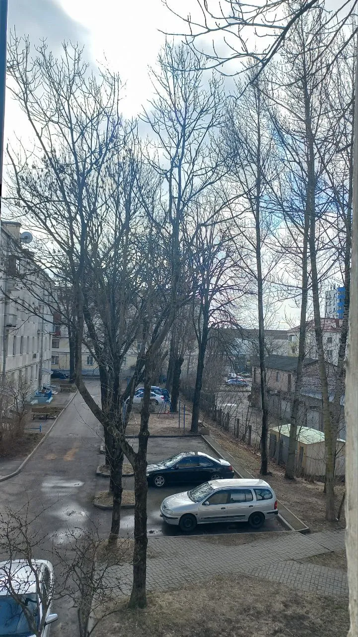 se1 1